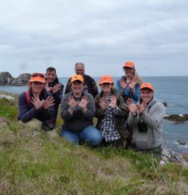 Twitter : @seabirdrecovery (Scillyseabirds)