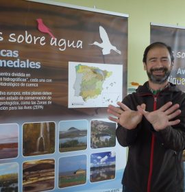 Carlos Sainz. BAHÍA DE SANTANDER Ecoturismo