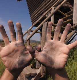 Aunque con las manos manchadas de andar por el campo, desde ‘El Naturalista Cojo’ también nos unimos a la celebración del Día Europeo de la Red Natura 2000. Y que mejor forma de hacerlo que desde el estuario del Miño, espacio incluido en esta red de VIDA