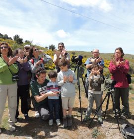 SEO-SIERRA DE GUADARRAMA