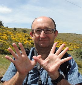 SEO-SIERRA DE GUADARRAMA