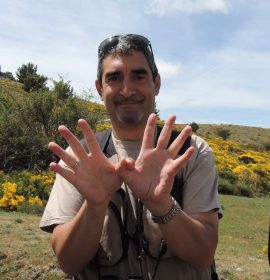 SEO-SIERRA DE GUADARRAMA