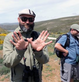 SEO-SIERRA DE GUADARRAMA