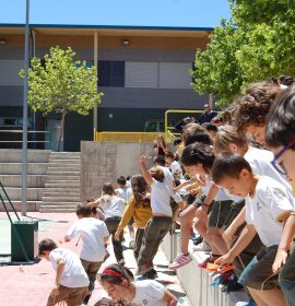 COLEGIO EDUCREA