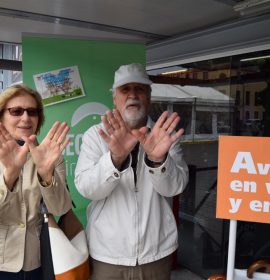 Tenerife_Plaza del Cristo_SEO/BirdLife Canarias