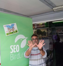 Tenerife_Plaza del Cristo_SEO/BirdLife Canarias