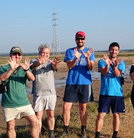 Los anilladores marismeños solidarios