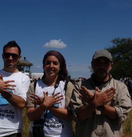 SEO/BirdLife Andalucía