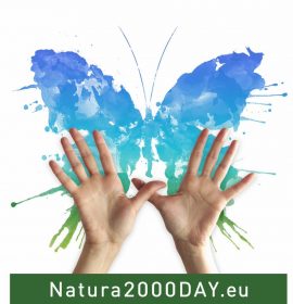 Twitter : @NatureFriendsGR (Naturefriends Greece)