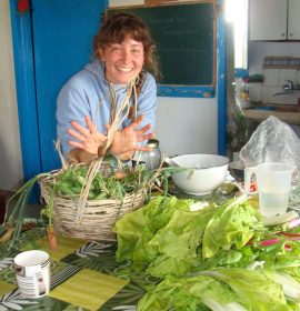 Evelia,mariposa sobre acelgas ecológicas