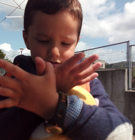 MARIPOSAS NA ESTACIÓN DE TREN