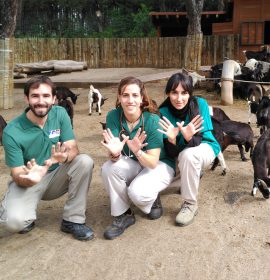 Equipo de veterinaria de Zoo  Aquarium de Madrid