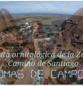 Lomas de Campos