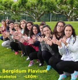 I.E.S. Bergidum Flavium