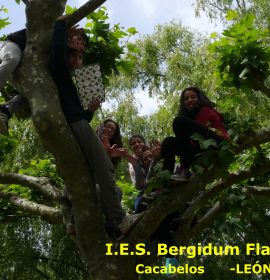 I.E.S. Bergidum Flavium