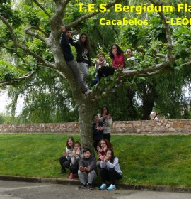 I.E.S. Bergidum Flavium