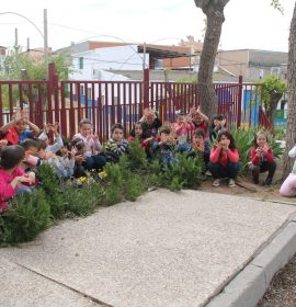 C.P.Cardenal Cisneros