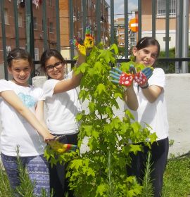 CEIP GANDHI.Nuestras mariposas seguirán volando…