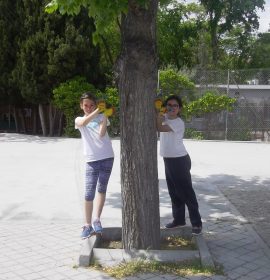 CEIP GANDHI.Nuestras mariposas seguirán volando…