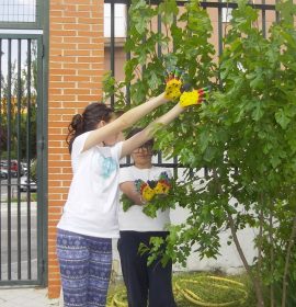 CEIP GANDHI.Nuestras mariposas seguirán volando…