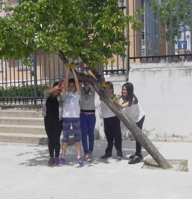 CEIP GANDHI.Nuestras mariposas seguirán volando…