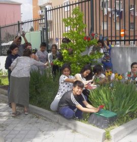 CEIP GANDHI.Nuestras mariposas seguirán volando…