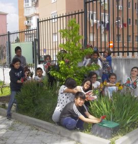 CEIP GANDHI.Nuestras mariposas seguirán volando…