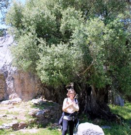 Yacimiento Arqueológico Ciudad Romana de Ocvri