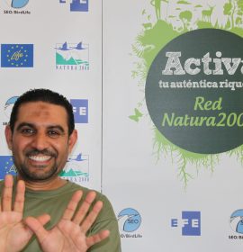 Adel Bouajaja Birdlife