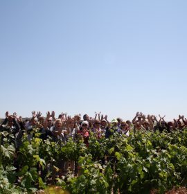 La Ruta del Vino Campo de Cariñena “La Ruta del Vino de las Piedras” con la Red Natura