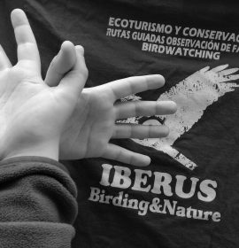 Desde Iberus Birding&Nature, Ecoturismo y Conservación nos sumamos al Día Europeo de la Red Natura 2000. www.iberusmedioambiente.com