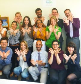 Happy Natura 2000 day from the BirdLife Europe office!