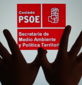 Sª de Medio Ambiente y Política Territorial del PSOE Coslada