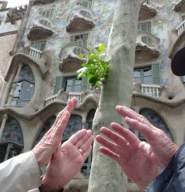 Barcelona por red Natura 2000