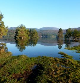 The seasonal lake of Pivka – foto: Erika Kovacic