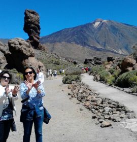 SEO/Birdlife en el Parque Nacional del Teide (Tenerife).