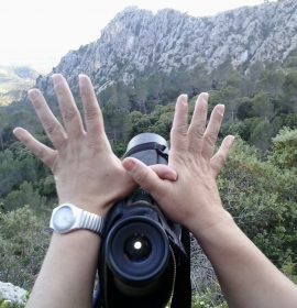 Trabajando en la conservación de Natura 2000 Mallorca