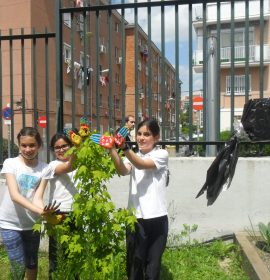 CEIP GANDHI. Nuestras mariposas seguirán volando