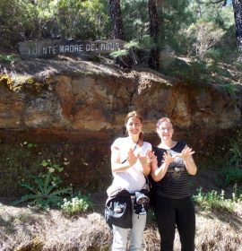 Ruta Ornitológica SEO/BirdLife y naturman (Tenerife)