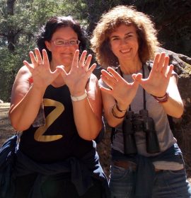 Ruta Ornitológica SEO/BirdLife y naturman (Tenerife)