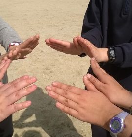 Nuestras mariposas seguirán volando…