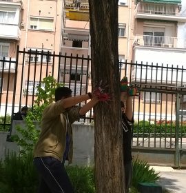 Nuestras mariposas seguirán volando…