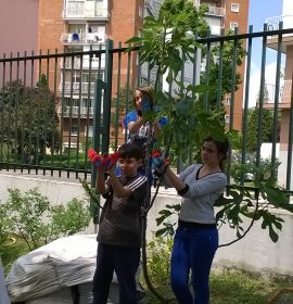 Nuestras mariposas seguirán volando…