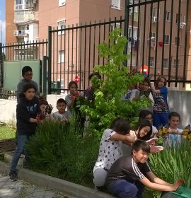 Nuestras mariposas seguirán volando…