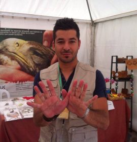 Festival de las Aves de Cáceres