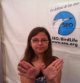 Festival de las Aves de Cáceres