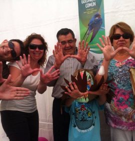 Festival de las Aves de Cáceres