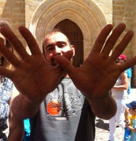 Festival de las Aves de Cáceres