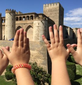 Mariposas Aljafería