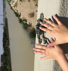 Mariposas en Zaragoza frente a la Aljaferia